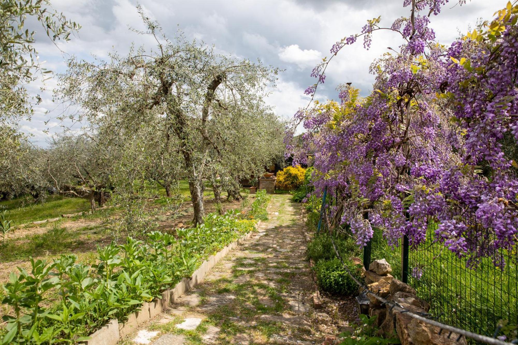 Apartamento Il Poggio Dell'Eremita Rigomagno Exterior foto